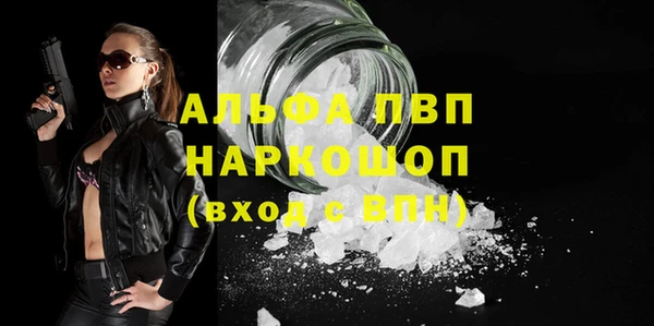 индика Абаза