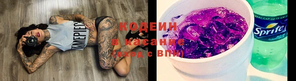 индика Абаза
