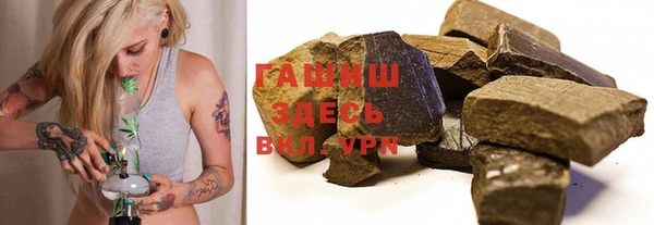 индика Абаза