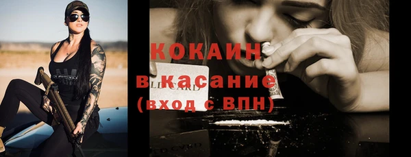 индика Абаза