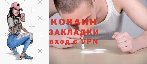 индика Абаза