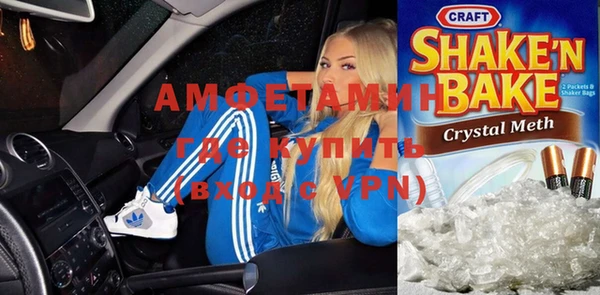 индика Абаза