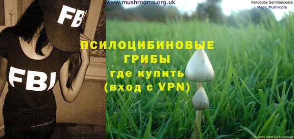 индика Абаза