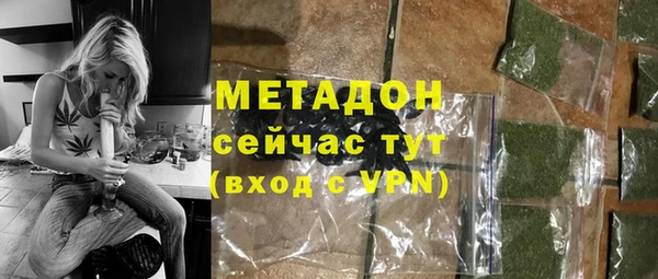 индика Абаза