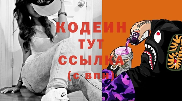 индика Абаза