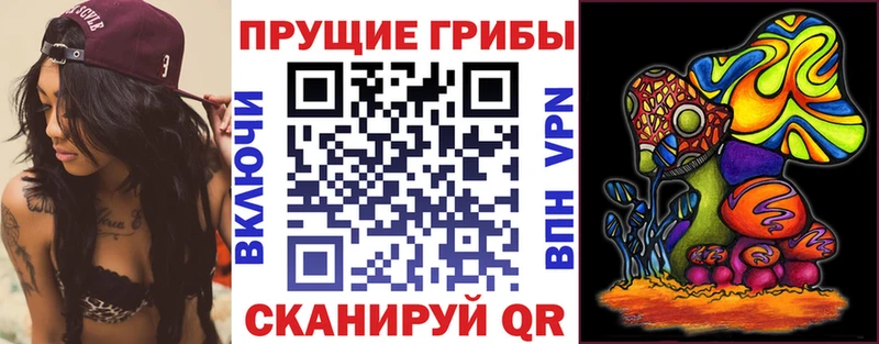 Псилоцибиновые грибы Magic Shrooms  ссылка на мегу ONION  Яблоновский 